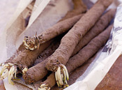 Salsify (Black) Organic ~ 300g
