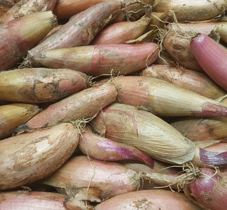 Shallots ~ Organic ~ 200g