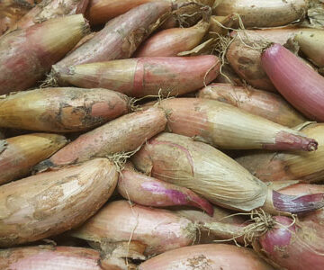 Shallots ~ Organic ~ 250g