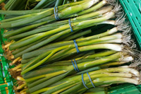 Onions Salad ~ Organic ~ Bunched