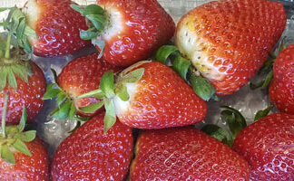 Strawberries ~ Organic ~