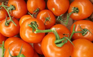 Tomatoes  ~ Organic ~ 500g