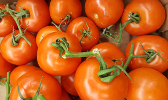 Tomatoes  ~ Organic ~ 500g