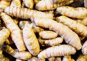 Turmeric Root ~ Organic ~ 100g