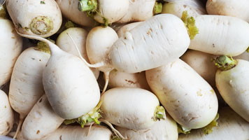Turnips ~ Organic ~ 500g