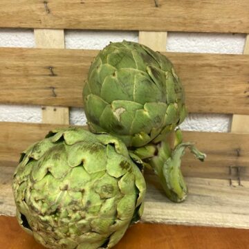 Artichoke Globe ~ Organic