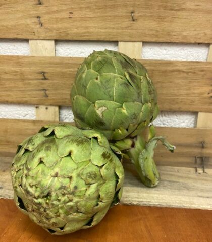 Artichoke Globe ~ Organic