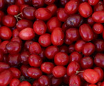 Cranberries ~ Punnet ~ Organic 200g