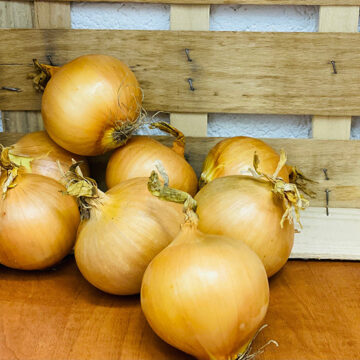 Onions White Organic ~ 500g Class 2