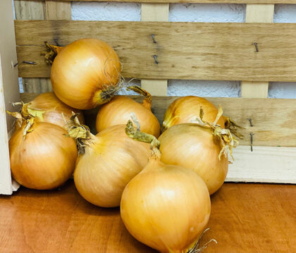 Onions White Organic ~ 500g Class 2