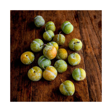 Plums Greengage ~ Organic ~ 500g