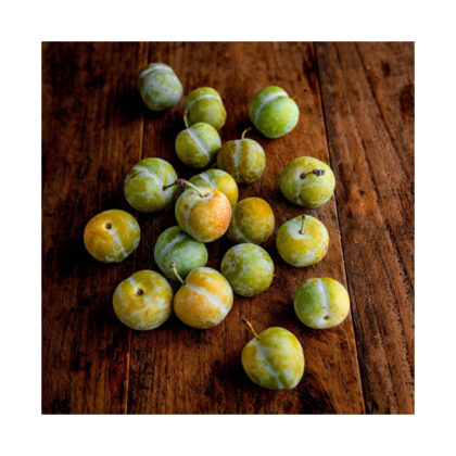 Plums Greengage ~ Organic ~ 500g