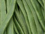 Beans Runner ~ Organic ~ 500g