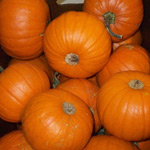Pumpkin ~ Small ~ Organic