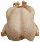 Bronze Classic Kelly Free Range Turkey
