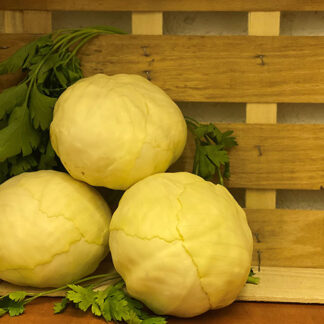 Cabbage White ~ Organic ~ Sold as each