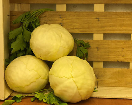 Cabbage White ~ Organic ~ Sold as each