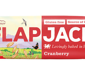 Brynmor Cranberry Flapjack
