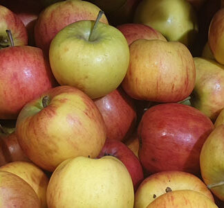 Apples Windsor ~ Organic ~ 500g