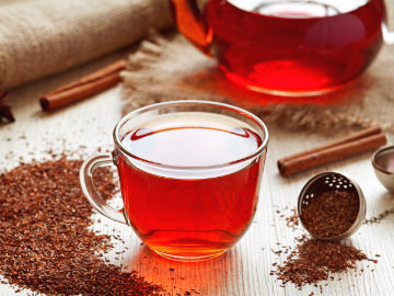 Rooibos