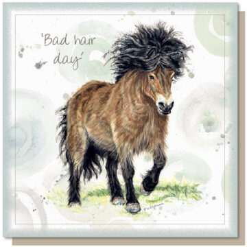 Bad Hair Day Greetings Card