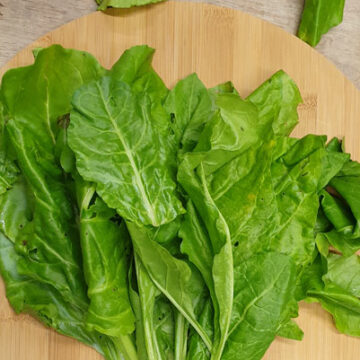 Spinach Perpetual ~Organic ~ Local to us