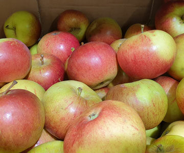 Apples Red Pippin ~ Organic ~ 500g
