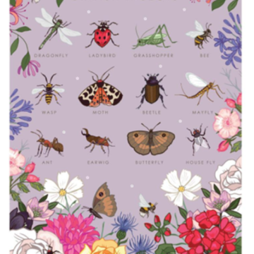 British Insects Greeting Card