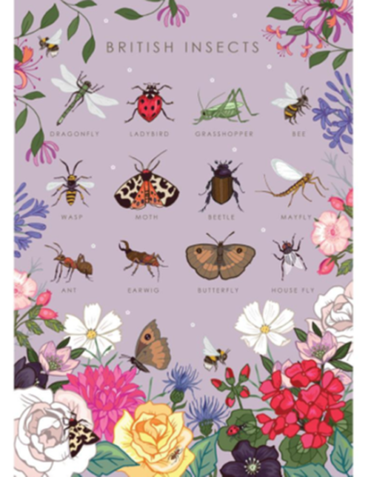 British Insects Greeting Card