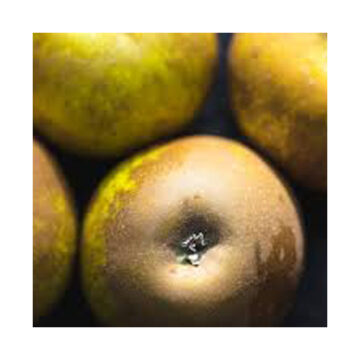 Apples Russett ~ Organic ~ 500g