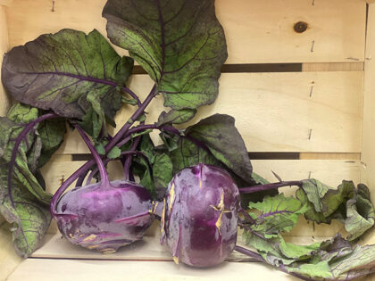 Kohl Rabi ~ Organic