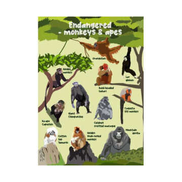 Endangered Monkeys & Apes Greetings Card