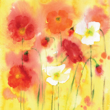 Red, white and orange poppies Greeting Card