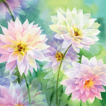 Chrysanthemums Greeting Card