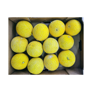Melon Galia Mini ~ Organic