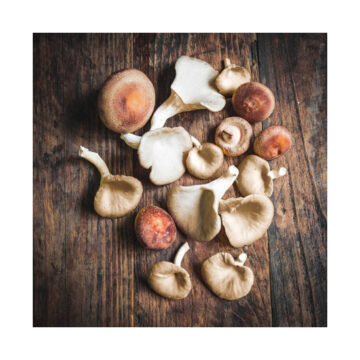 Mixed Mushrooms ~ Punnet ~ Organic
