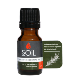 Soil Cedarwood Essential Oil Organic