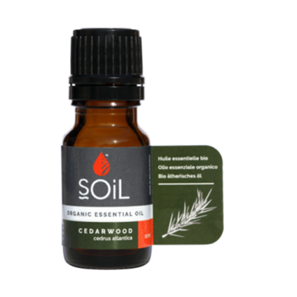Soil Cedarwood Essential Oil Organic