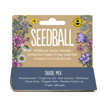 Seedball Wildflower Seeds Shade Mix 12 balls