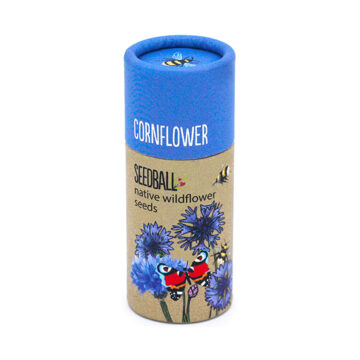 Seedball Cornflower Seeds 20 balls