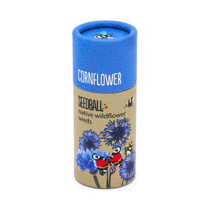 Seedball Cornflower Seeds 20 balls