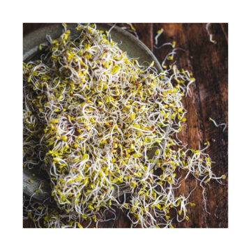 Sky Sprouts Organic Kale Sprouts 50g